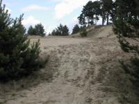 Dünenlandschaft an der Cottbuser Ostsee