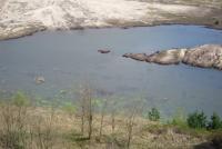 Der Ostsee f�llt sich - das Wasser steigt - neues Leben erwacht